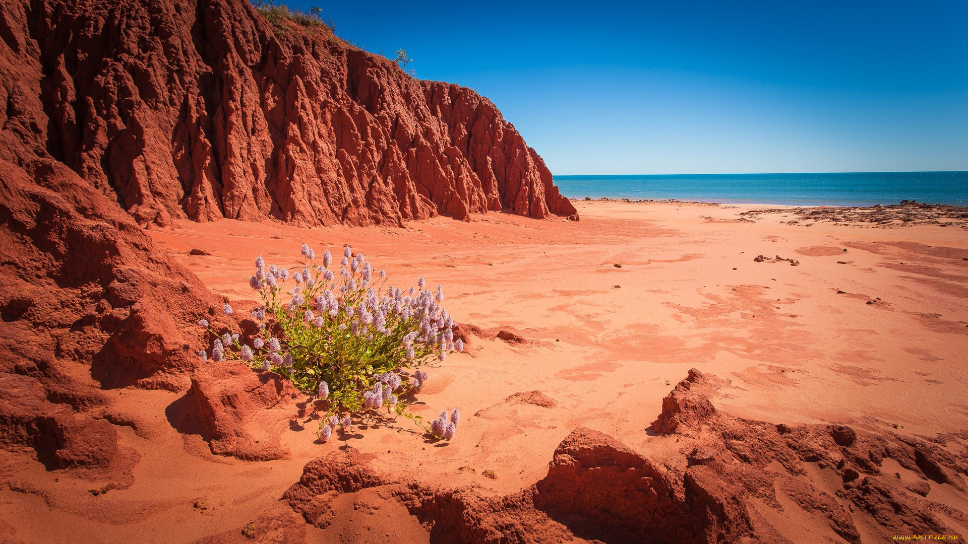 australian coast, , , australian, coast